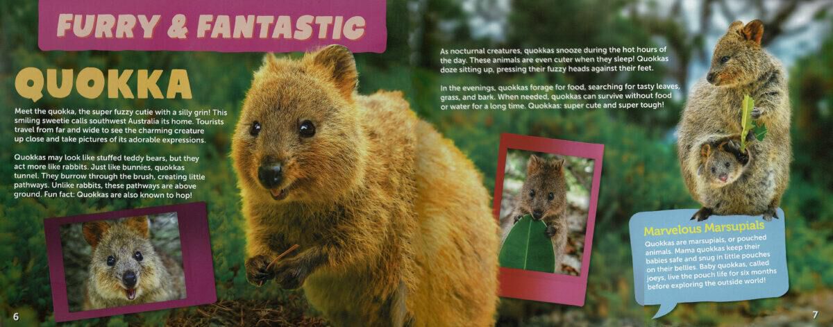 Thumbnail 4 Cutest Animals of All Time 