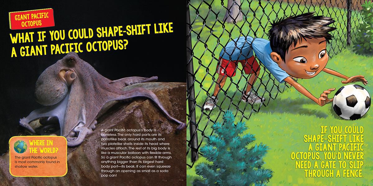 Thumbnail 5What If You Could Sniff Like a Shark 10-Pack