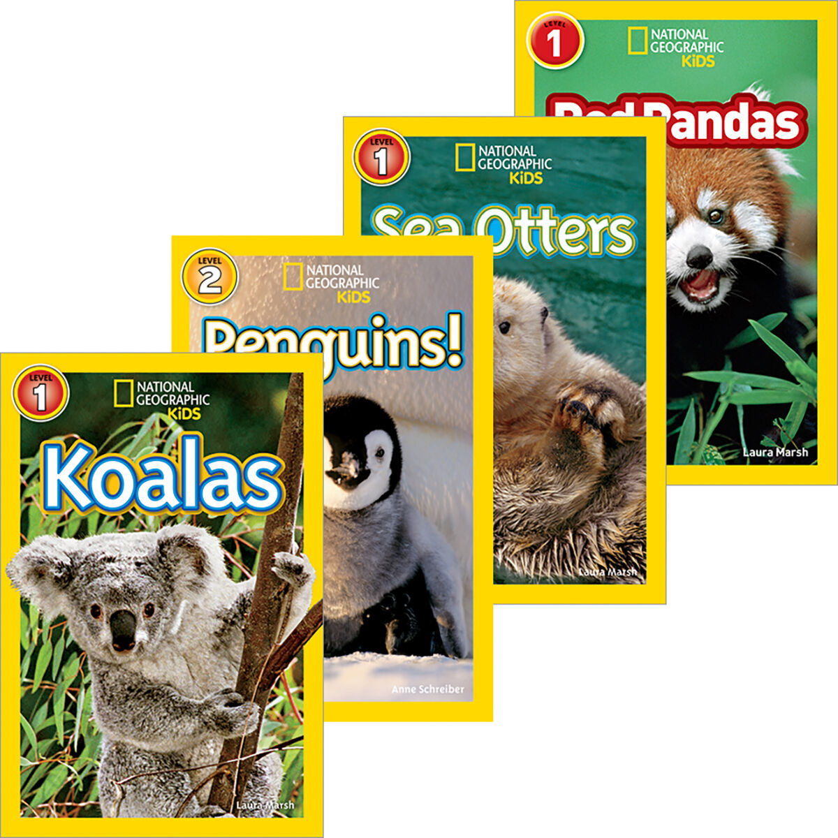 National Geographic Kids: Cute Trendy Animal 5 Pack