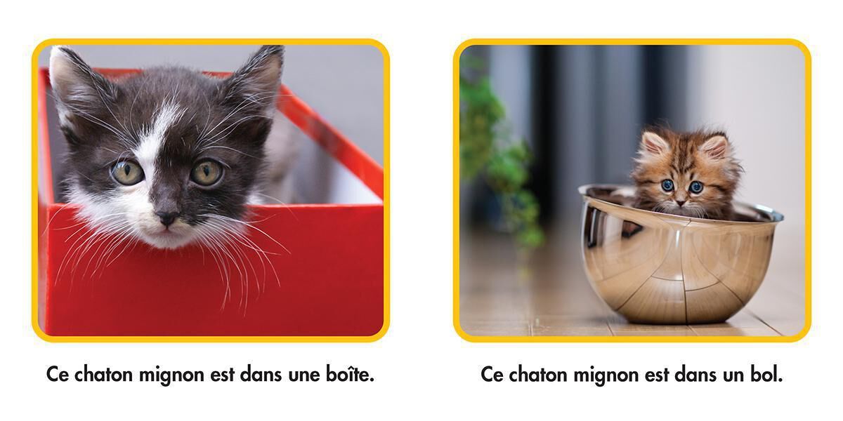 Thumbnail 5 National Geographic Kids : Ensemble de lecture 1 