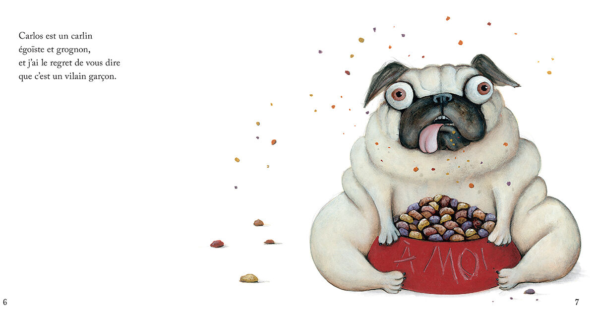 Thumbnail 2 Carlos le carlin : Recueil d'histoires 