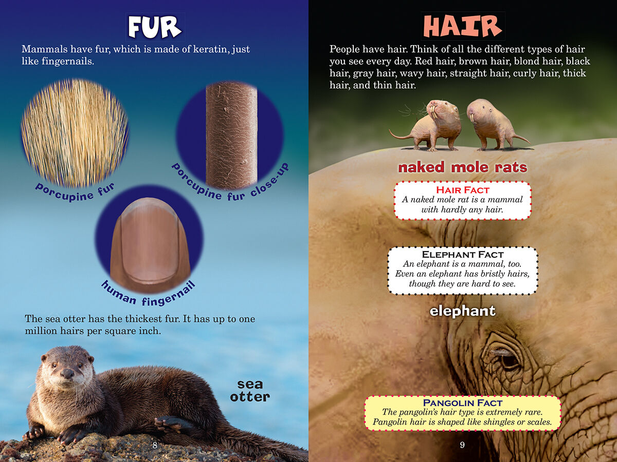 Thumbnail 4 Who Would Win?: Porcupine vs. Pangolin 