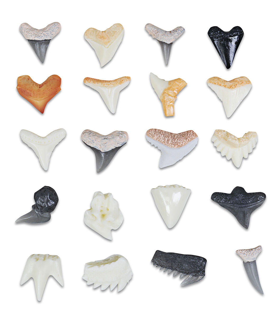 Thumbnail 3Ultimate Shark Collection