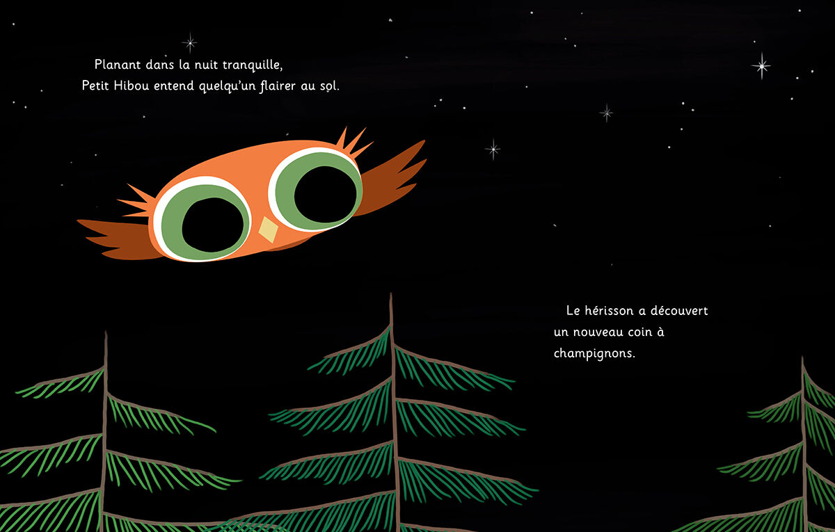 Thumbnail 3Collection Petit Hibou - 4 livres