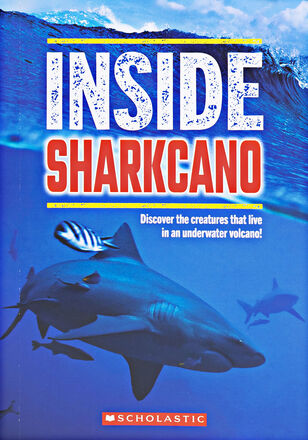  Inside Sharkcano 