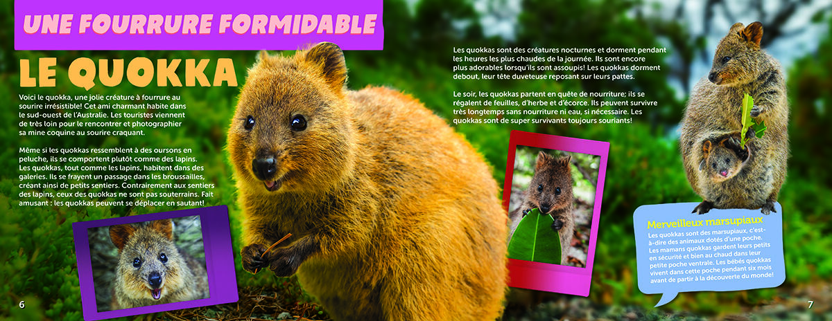 Thumbnail 2 Les animaux les plus adorables de tous les temps 