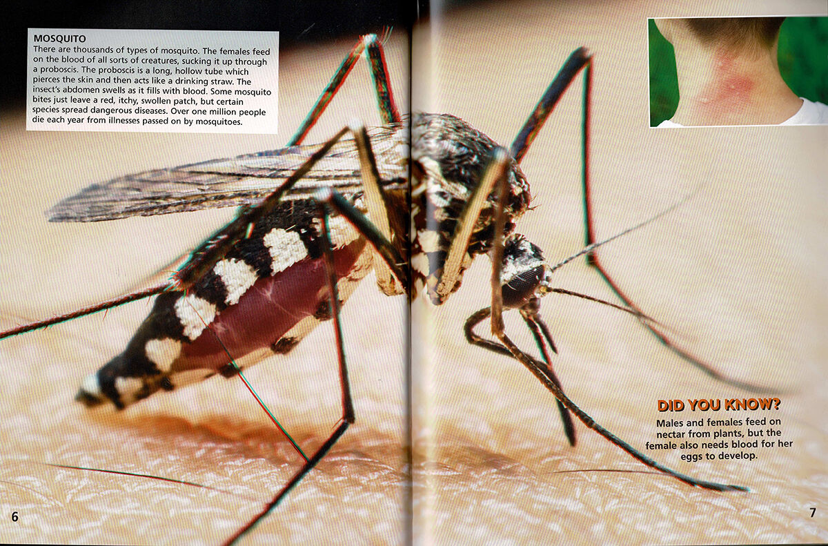 Thumbnail 4 Mini Beasts in 3D 