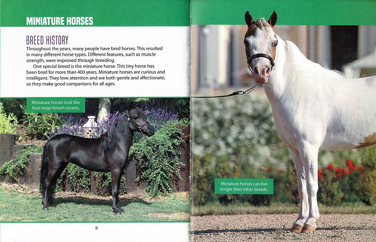 Thumbnail 2 The Horse Encyclopedia for Kids 