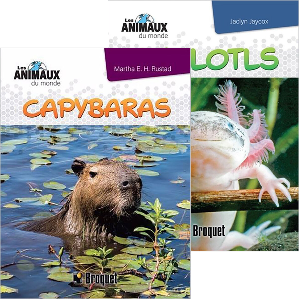 Duo Les animaux du monde