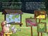 Thumbnail 7 Fly Guy Presents Fun Facts Value Pack