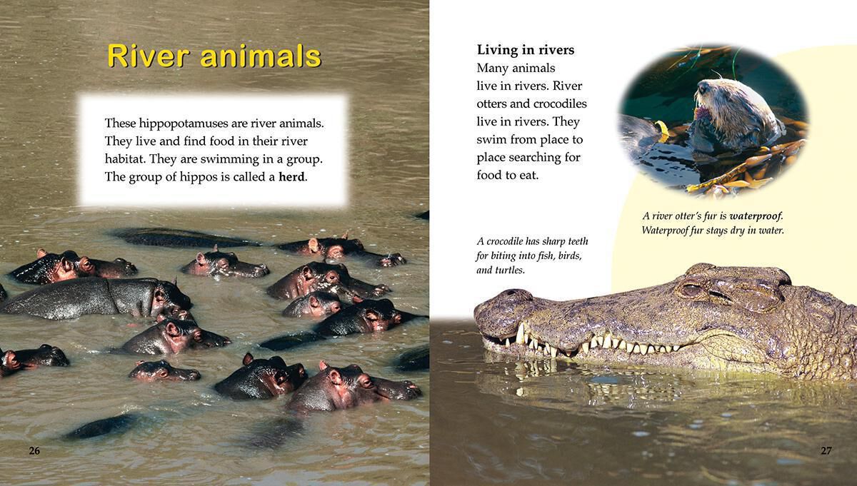 Thumbnail 3 Introducing Habitats 4-Pack 