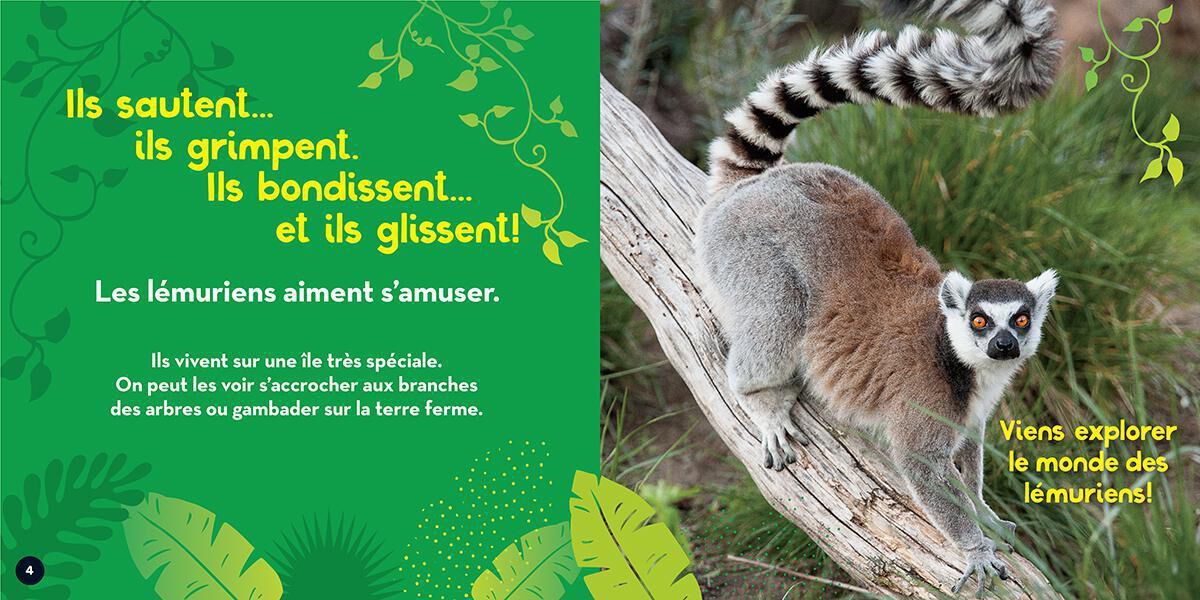 Thumbnail 3Livres-cadeaux National Geographic Kids : Vie sauvage - Les l&eacute;muriens -  5 livres