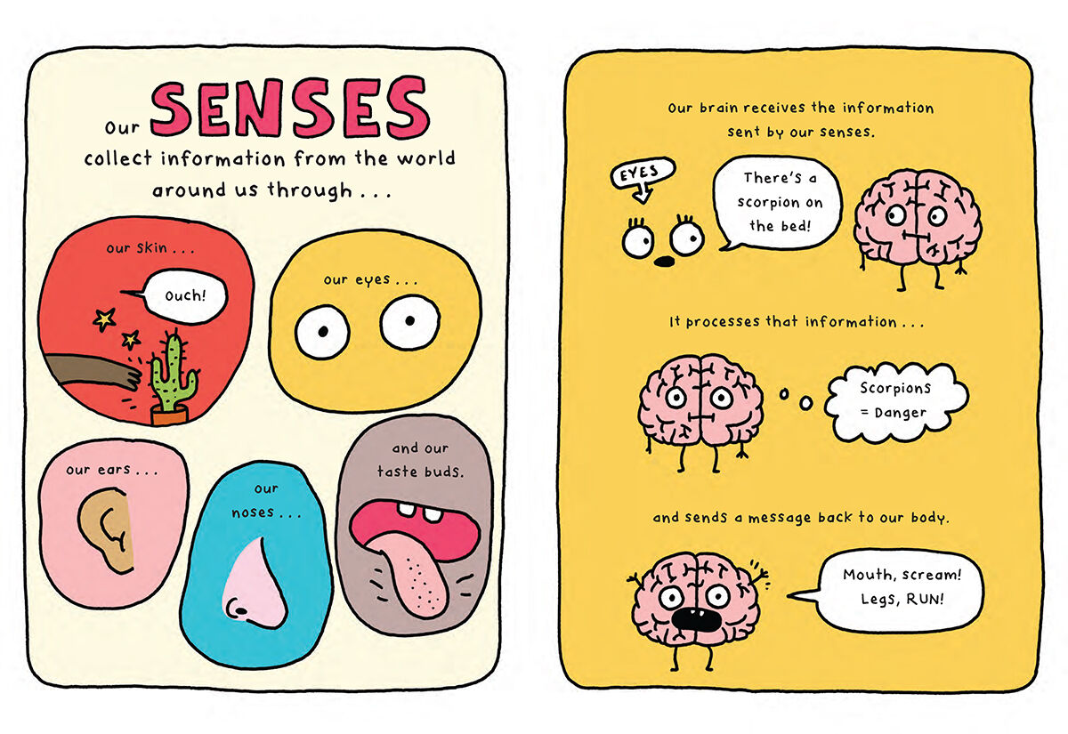 Thumbnail 4It's My Brain!