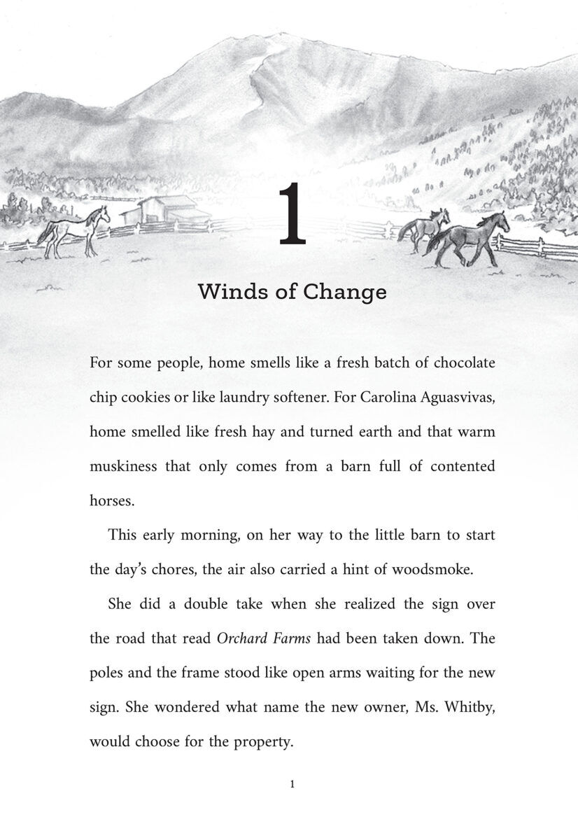 Thumbnail 8 Horse Country #1-#4 Pack with Necklace 