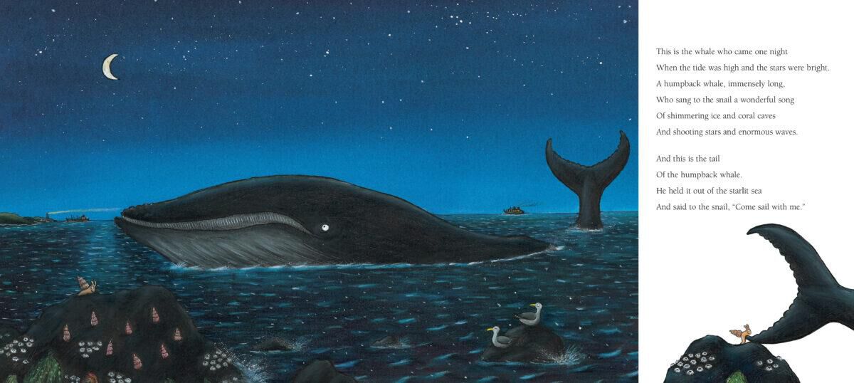 Thumbnail 4The Snail and the Whale