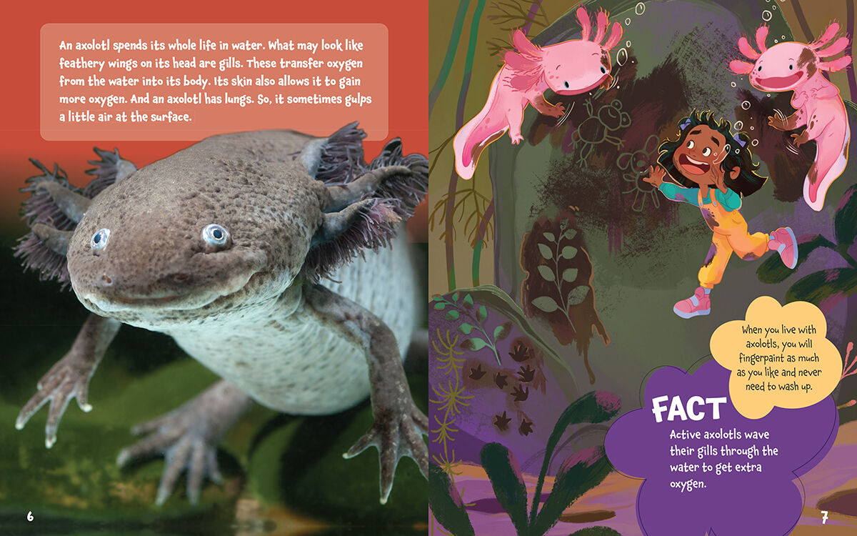 Thumbnail 3 Could You Ever Smile with Axolotls!? 