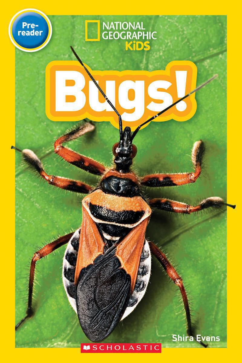 Thumbnail 9National Geographic Kids: Fact Attack 12-Pack