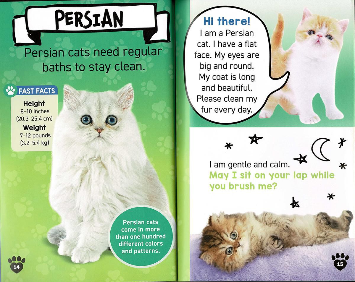 Thumbnail 5Kittens!