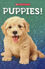 Thumbnail 3 Cute Animal Readers 3-Pack