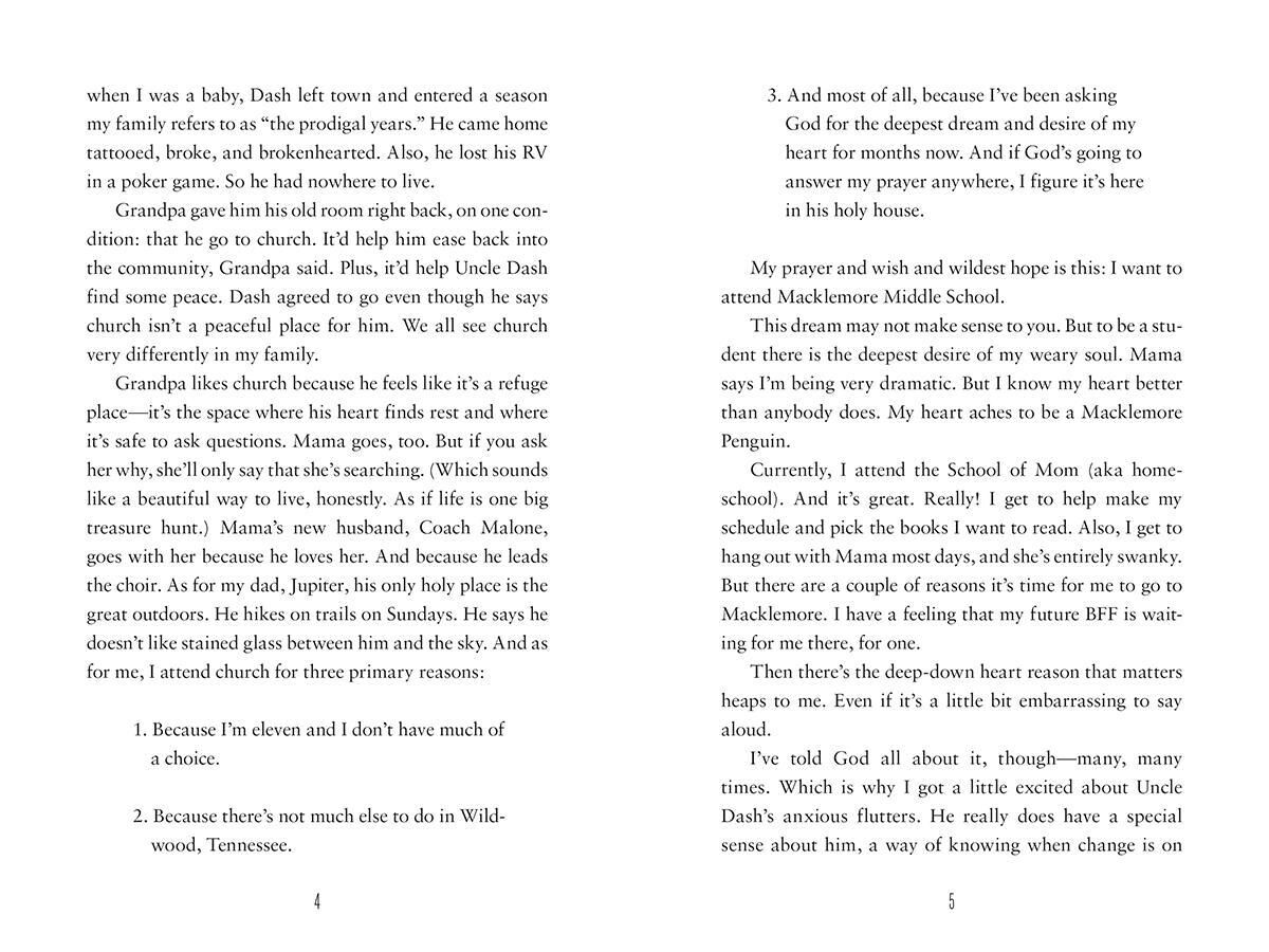 Thumbnail 4 Hummingbird 