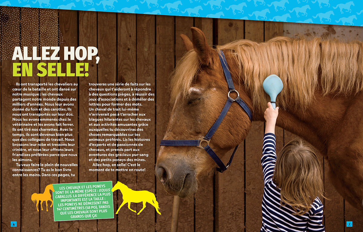 Thumbnail 2 National Geographic Kids : Tout tout tout savoir sur les chevaux! 
