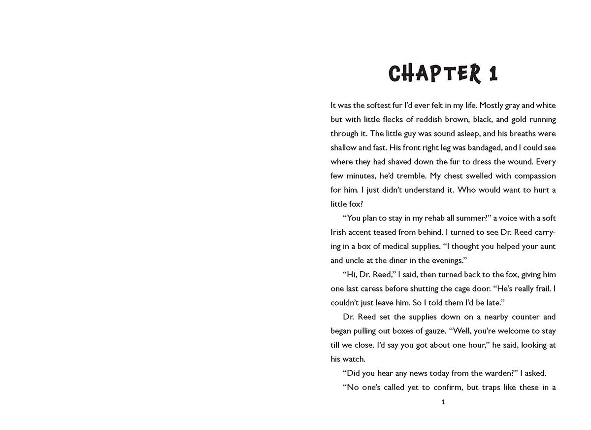 Thumbnail 2 Outfoxed 