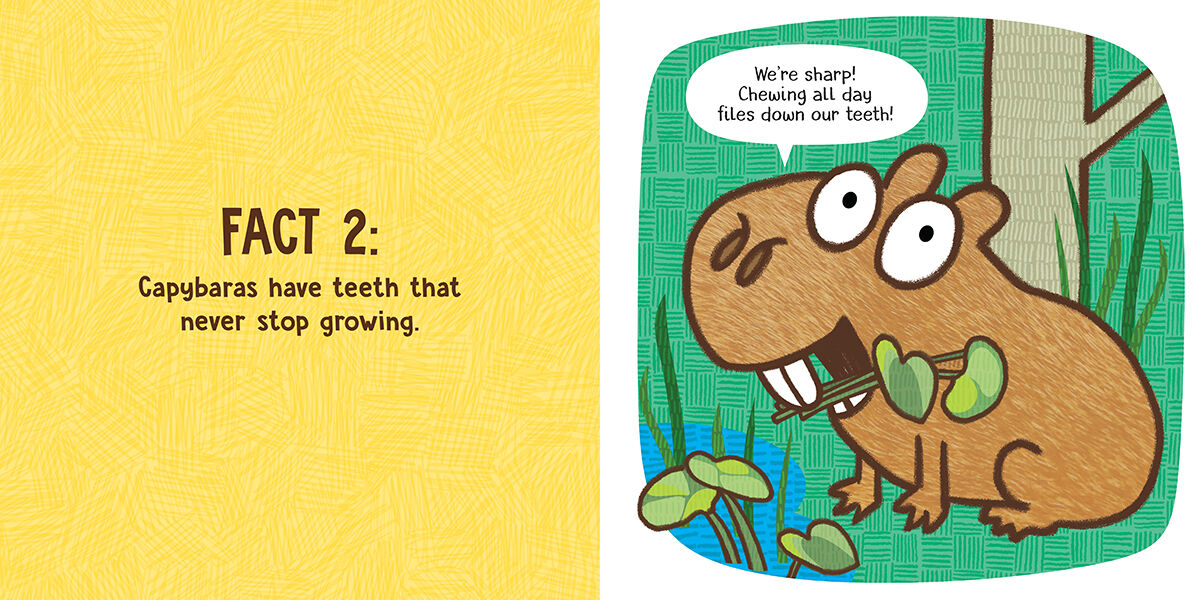 Thumbnail 310 Shocking Facts About Capybaras