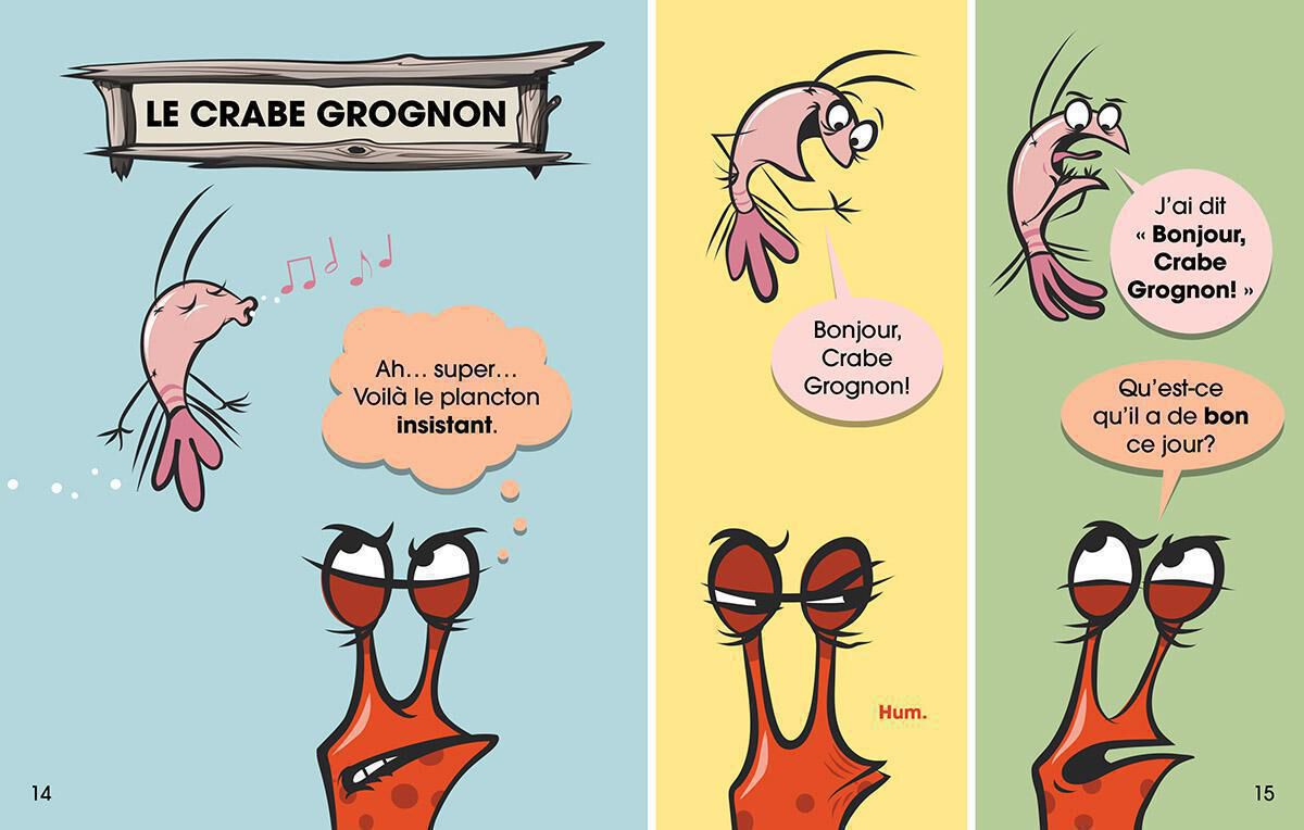 Thumbnail 3Ensemble Crabe Grognon