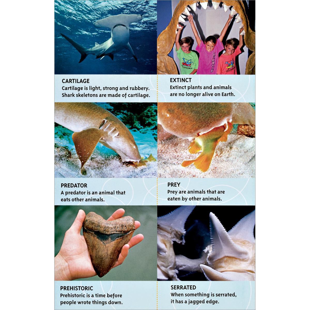 Thumbnail 3National Geographic Kids: Earth Science 8-Pack