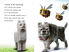 Thumbnail 3 Minecraft Movie: Welcome to the Overworld!