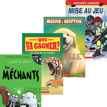 Bibliothèque de classe 3e à 5e année   Bibliothèque de classe 3e à 5e année