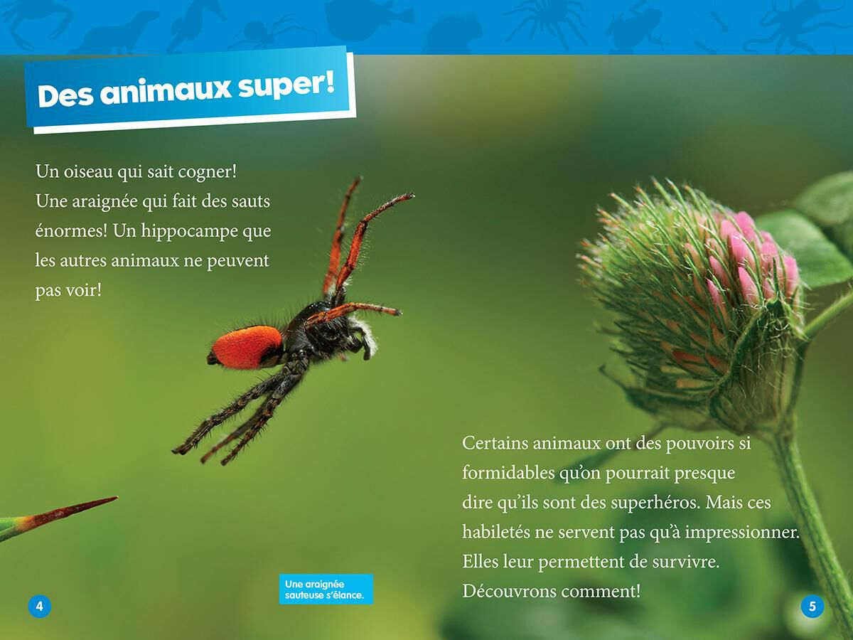 Thumbnail 2 National Geographic Kids : Les superpouvoirs des animaux 
