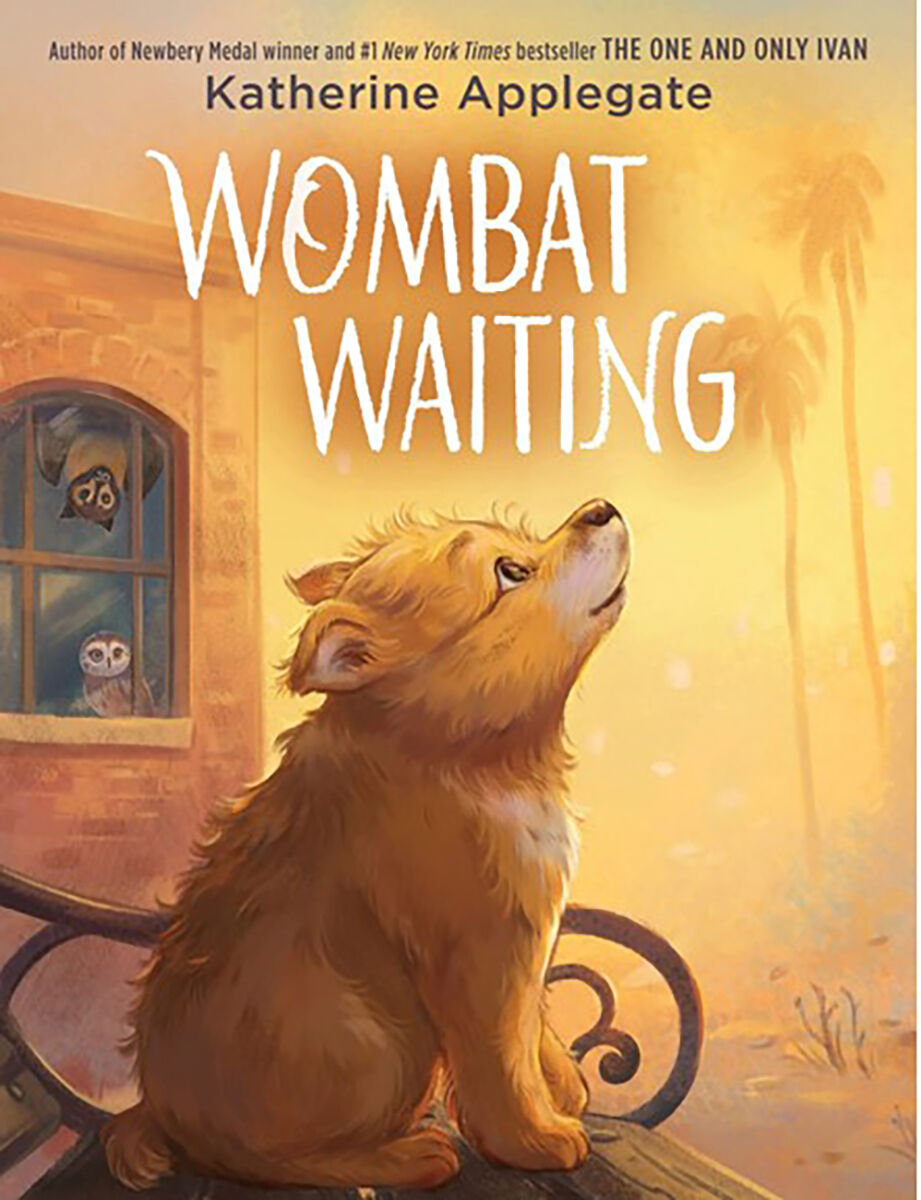 Wombat Waiting