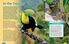 Thumbnail 3 Ecosystems Inside Out 10-Pack