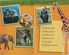 Thumbnail 3 National Geographic Kids: Animals in Action 15-Pack 