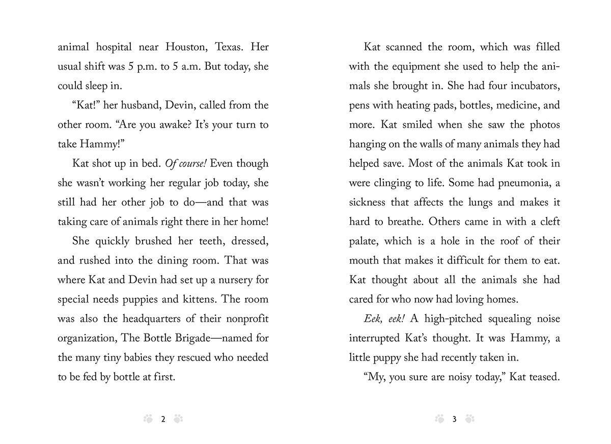 Thumbnail 7 The Dodo 3-Pack 