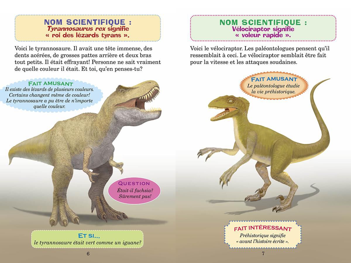 Thumbnail 2 Qui va gagner? Le tyrannosaure ou le v&eacute;lociraptor? 