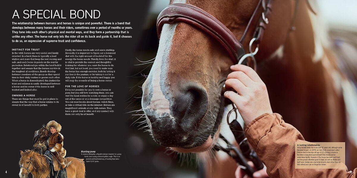 Thumbnail 3Horses