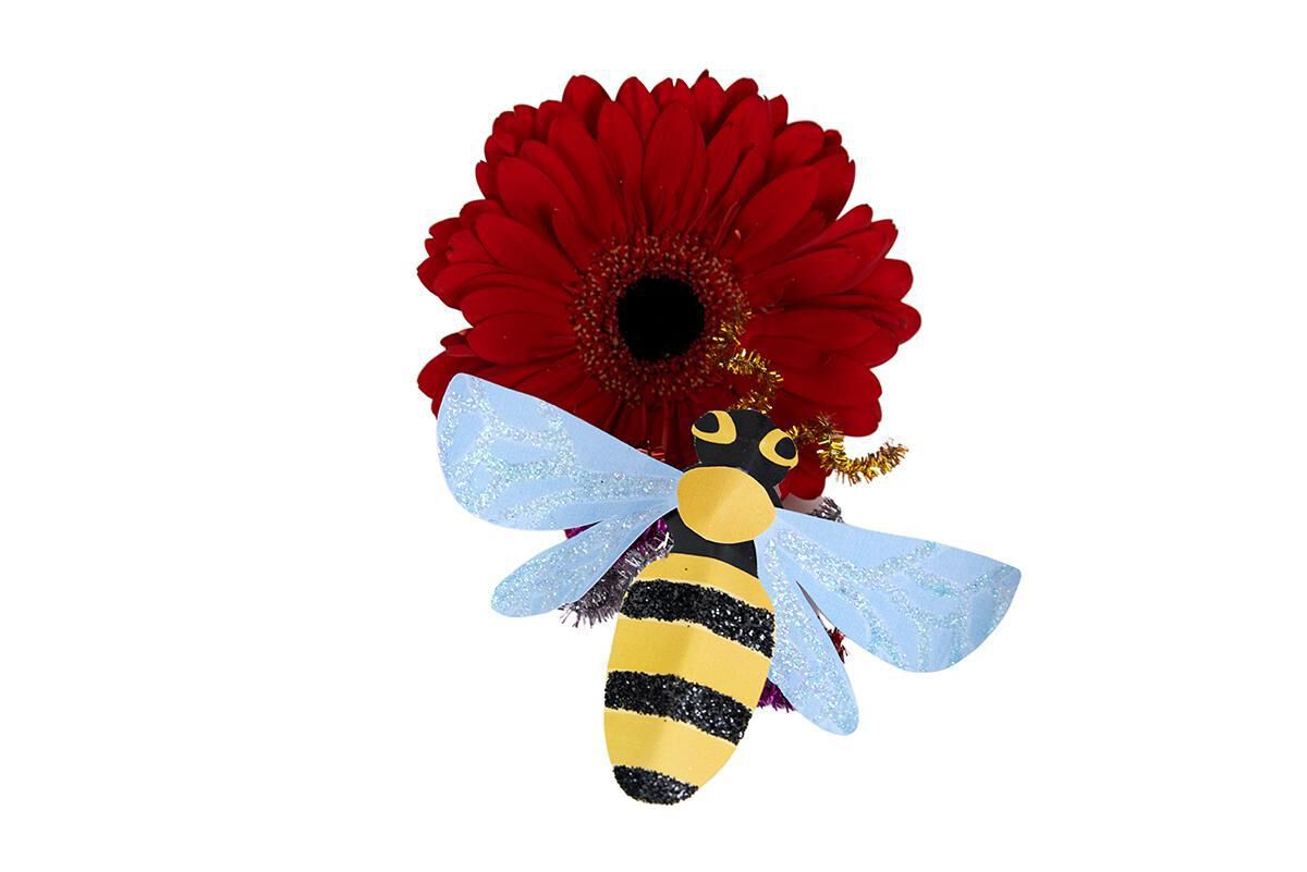 Thumbnail 7 Beautiful Bugs 