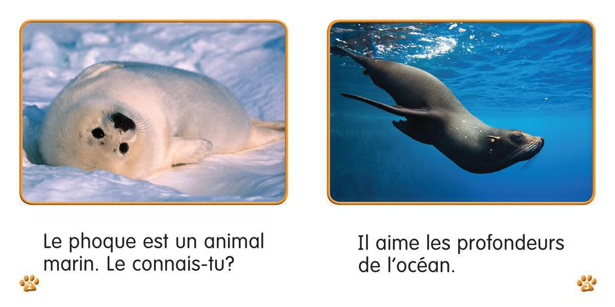 Thumbnail 7 Collection Je lis! Animaux - S&eacute;rie 1 