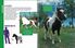 Thumbnail 3 The Horse Encyclopedia for Kids