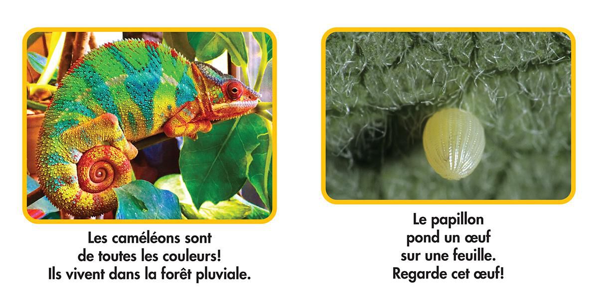 National Geographic Kids : Ensemble de Lecture 2
