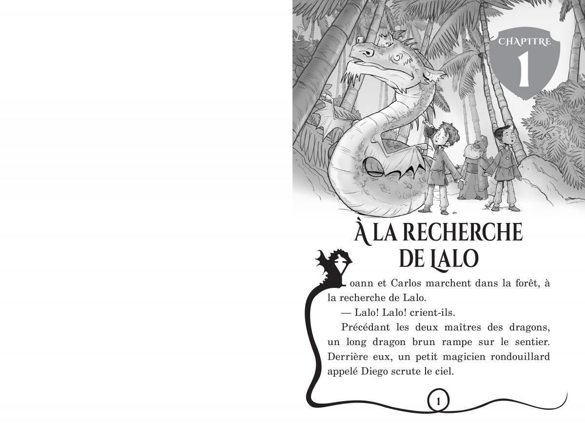 Thumbnail 3Ensemble de 5 livres-cadeaux Ma&icirc;tres des dragons - Tome 8