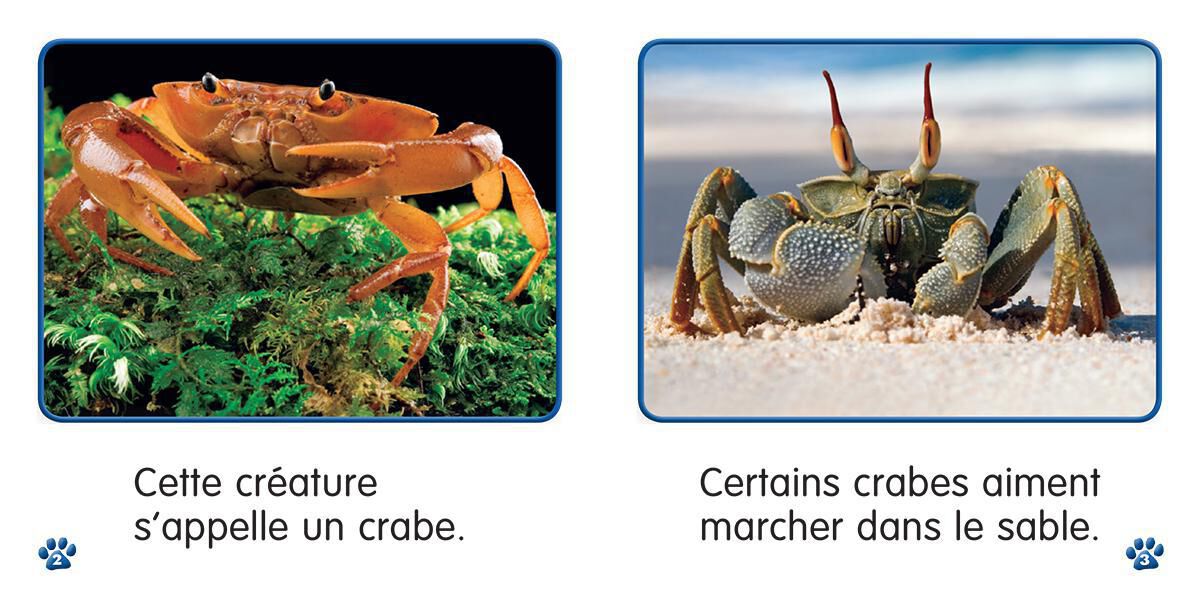 Thumbnail 5 Collection Je lis! Animaux - S&eacute;rie 2 