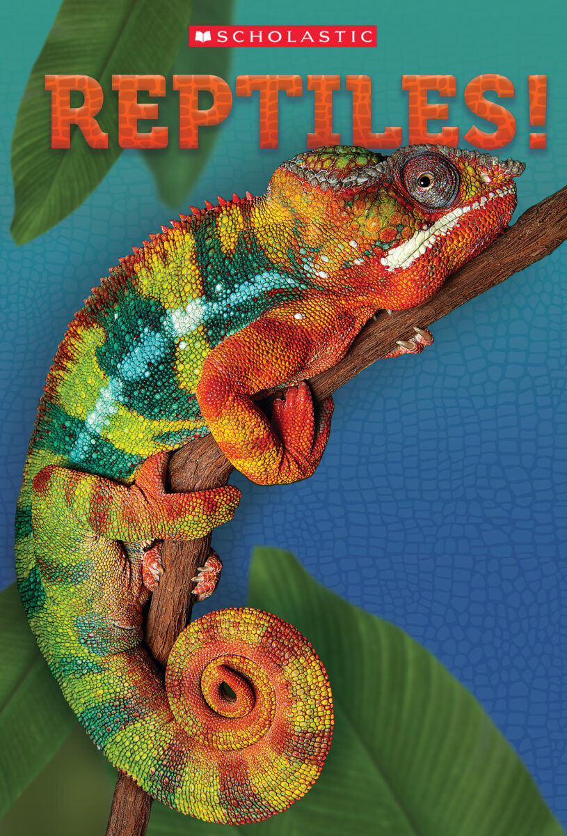 Thumbnail 2 Predator Tangerine Readers 5-Pack 