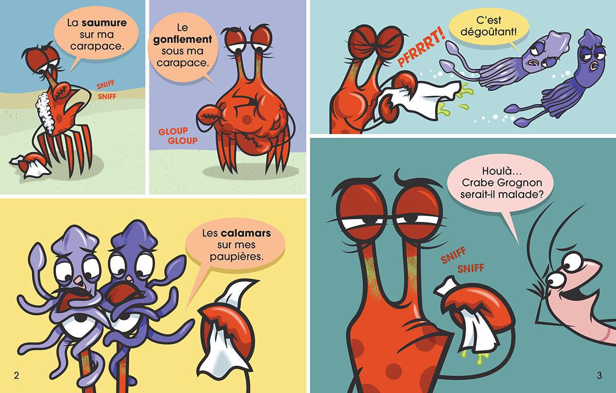 Thumbnail 9Ensemble Crabe Grognon