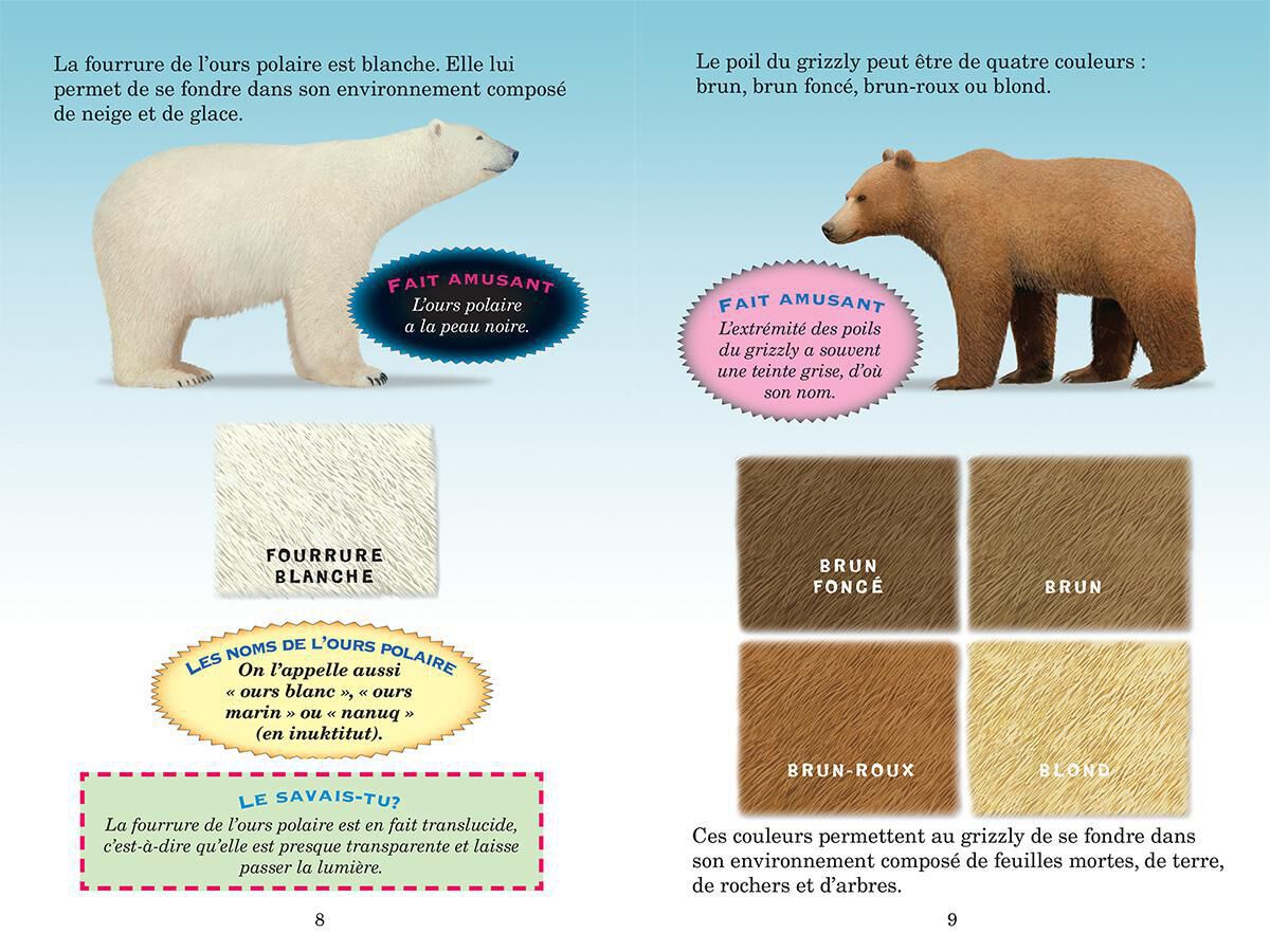 Thumbnail 5 Collection Qui va gagner? 