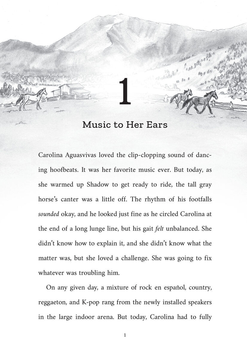 Thumbnail 6 Horse Country #1-#4 Pack with Necklace 