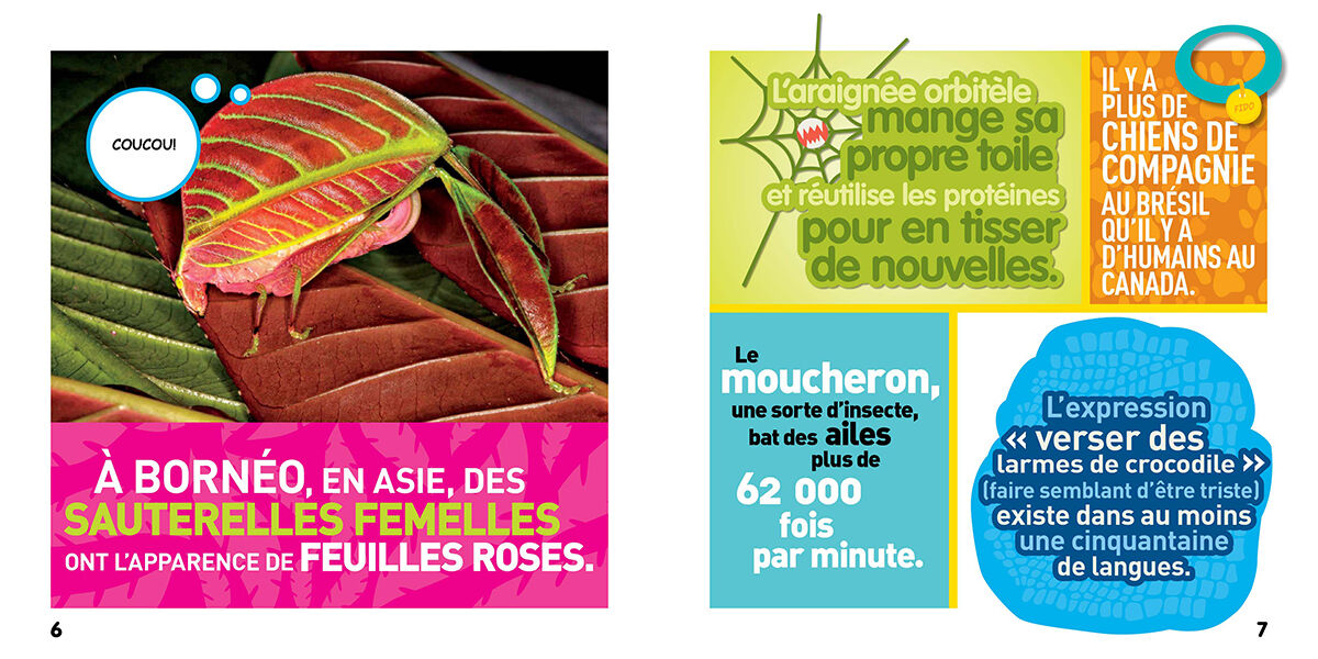 Thumbnail 3National Geographic Kids : Bizarre mais vrai! Les animaux