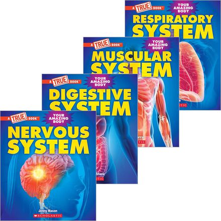 A True Book: Your Amazing Body Value Pack   A True Book: Your Amazing Body Value Pack